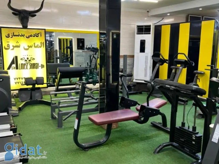 باشگاه الماس شرق
